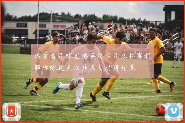 我要看足球直播英格兰足总杯赛程解读球迷关注焦点与对阵结果